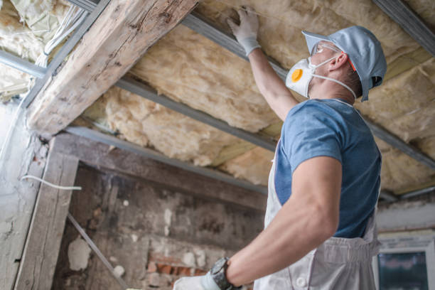 Best Specialized Insulation Services in Lookout Mountain, TN